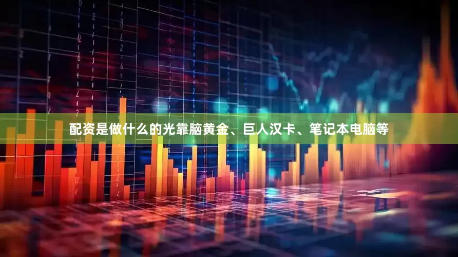 配资是做什么的光靠脑黄金、巨人汉卡、笔记本电脑等