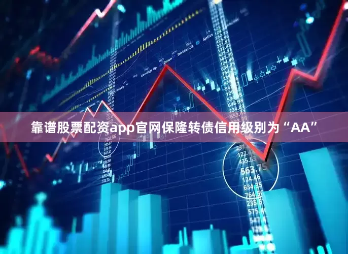 靠谱股票配资app官网保隆转债信用级别为“AA”