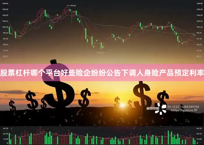 股票杠杆哪个平台好些险企纷纷公告下调人身险产品预定利率
